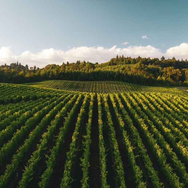 Die Landwirtschaft soll nachhaltiger werden