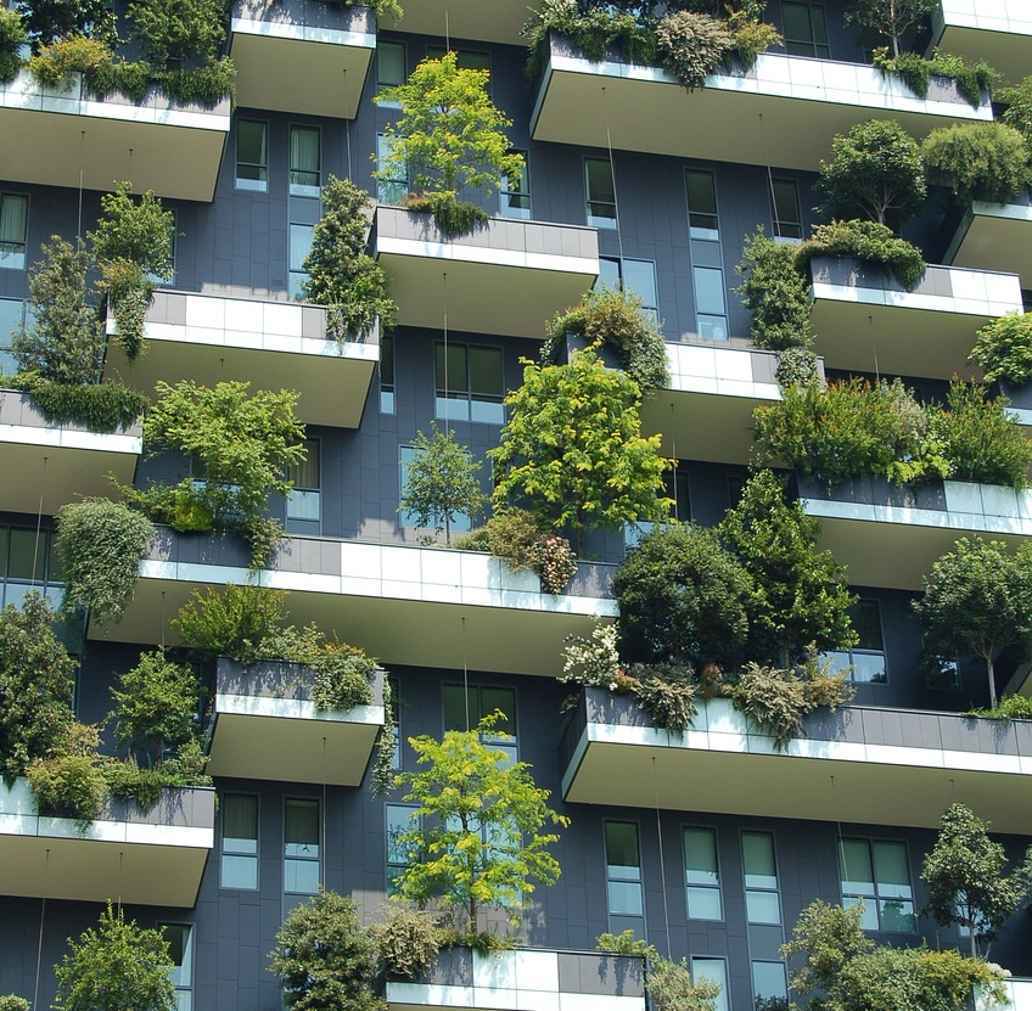 Pflanzen wachsen auf einem Haus, aus den Balkonen